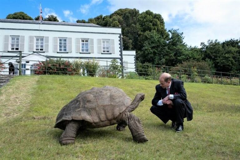 What Is Jonathan Saying to the Duke?